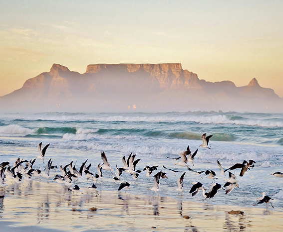 Moving to or from Cape Town