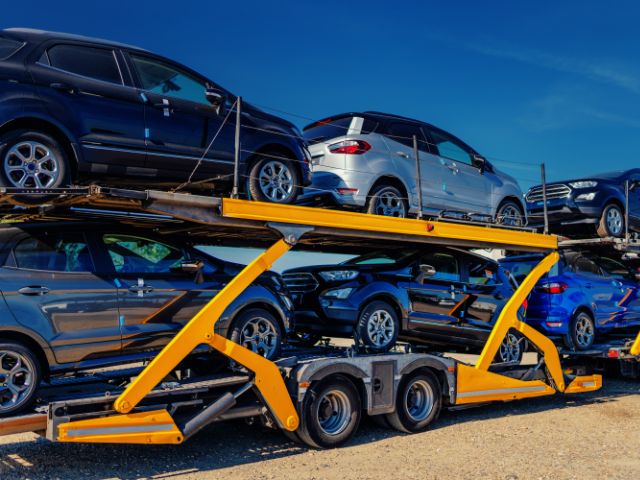 Stuttaford Van Lines provides safe, climate-controlled transport for pets and secure vehicle transport for families relocating to Cape Town.